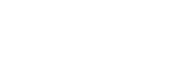 logo baolong